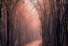 SpaceX Launch: Today's Status, Schedule, and Viewing Details