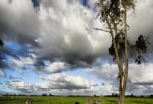 AI's Music Business Takeover: The Hype, The Reality, And The Quiet Freak-Out