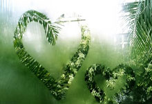 Aster: What's the Deal with the Plant, Crypto, and Ari Aster?